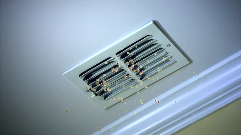 HVAC System Cleaning in Old Town, ME